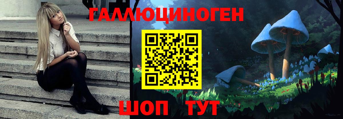 Псилоцибиновые грибы Cubensis Ливны