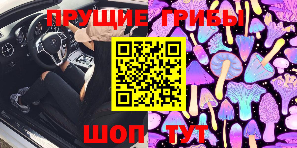 Ливны  Псилоцибиновые грибы Psilocybe  Вход с VPN 
