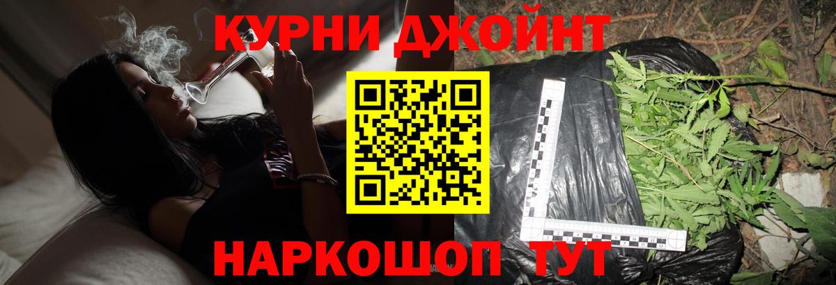 Каннабис сатива Ливны